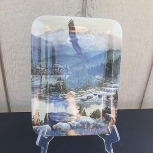 🔥Danbury Mint Decorative CollectorsPlate